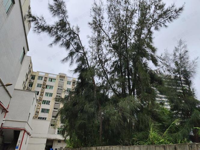泉州台商投资区三鑫花园深度测评 业主真实点评与投资价值分析