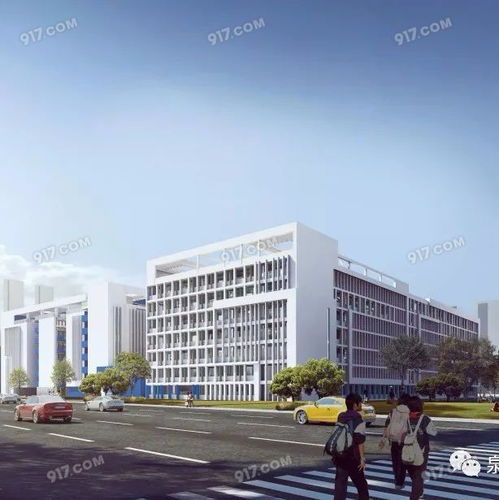 泉州实验中学台商区校区建设加速，下月将完成主体封顶，总投资10.5亿赋能教育升级
