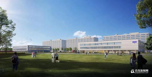 京东方全球最大移动显示模组单体工厂落户泉州 投资新标杆与产业版图重塑